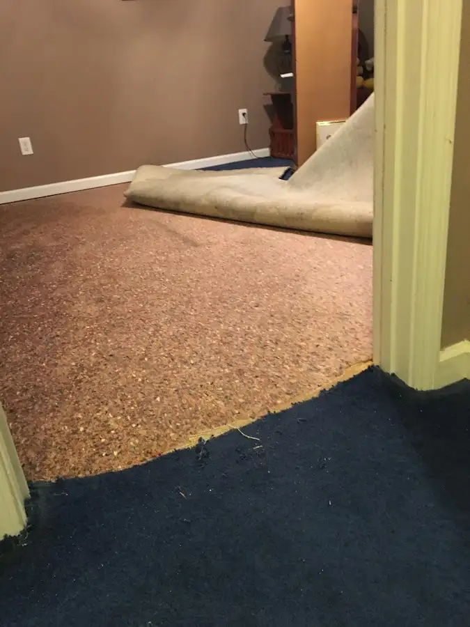 Carpet pad removal revealing water damage during Drying & Dehumidification in Rossford