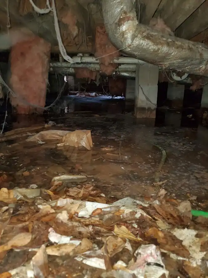Crawl space flood assessment for Leak Detection & Repair in Rossford